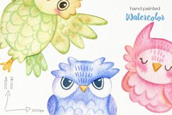 Watercolor Owls Clipart - PNG Files Product Image 3