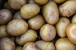 Photography to theme large baked plain potato in jacket Product Image 1