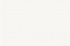 Ornamental seamless patterns. Product Image 10