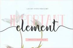 The Authentic Script Font Bundle Product Image 13