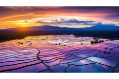 sunsky thailand rice white Product Image 1