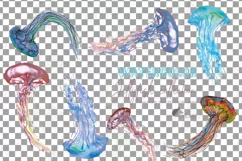 Jellyfish watercolor design, colorful sea jelly wall decor. Product Image 2