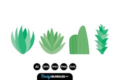 Succulent Illustrations Product Image 1