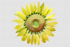 Bright yellow sunflower watercolor png Product Image 2