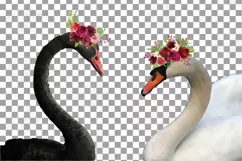 Black swan and white swan with burgundy floral crown graphic Product Image 2