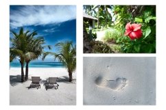 Tropical Paradise BUNDLE Maldives Product Image 6