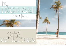 Boardwalk - A Fun Handwritten Font - Free Font of The Week Product Image 4