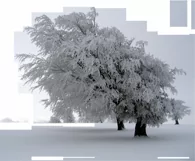 30 SNOW TREES TRANSPARENT PNG FILES, PHOTOSHOP OVERLAYS Product Image 8