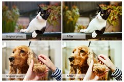 20 Lovely Pets Presets,Photoshop actions,LUTS,VSCO Product Image 6