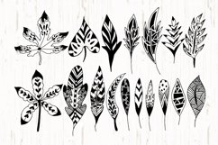 Hand Drawn Element Petals and Leaves Product Image 6