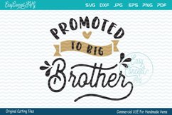 Promoted to Big Brother Product Image 2