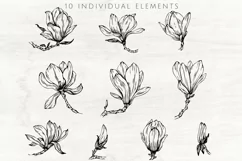 Magnolia flowers line art SVG, PNG. Hand drawn doodle flower Product Image 5