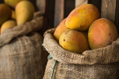 Mangos in Jute Bags Background Product Image 1