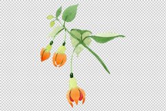 Orange Fuchsia Watercolor png Product Image 8