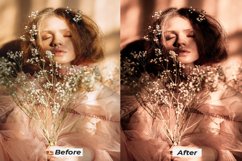 Dark brown lightroom presets for desktop and mobile Product Image 4