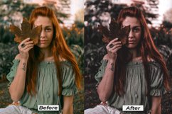 Dark moody lightroom presets for desktop and mobile Product Image 4
