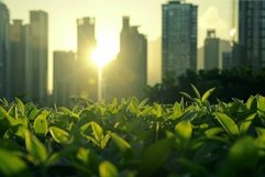 Urban sunrise peeking through fresh greenery Product Image 1