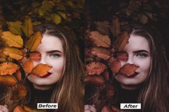 Dark moody lightroom presets for desktop and mobile Product Image 6