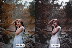 Dark moody lightroom presets for desktop and mobile Product Image 7