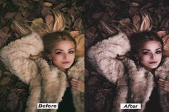 Dark moody lightroom presets for desktop and mobile Product Image 2
