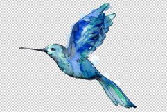 Colibri Small bird Watercolor png Product Image 4