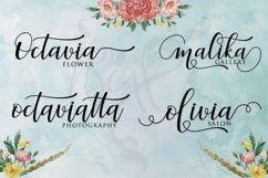 Web Font Faranisa Script Product Image 2