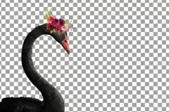 Black swan and white swan with burgundy floral crown graphic Product Image 4