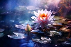 Enchanted water lily pond at twilight Product Image 1
