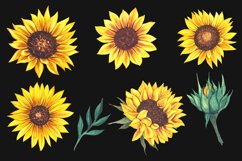 Watercolor Sunflower Bouquets PNG, Summer Bouquets PNG Product Image 7