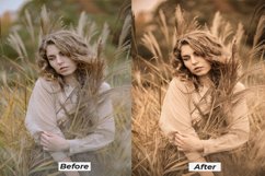 Dark brown lightroom presets for desktop and mobile Product Image 11