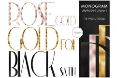 Elegant Letters Clipart - Black, Gold, Rose Gold  Product Image 1