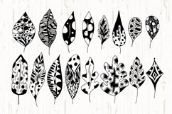 Hand Drawn Element Petals and Leaves Product Image 4