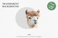 Baby Alpaca Farm Animals Clipart PNG Scrapbooking Nursery Art Image Watercolor  Transparent Print invitation shirt designs sublimation kids printable digital