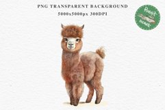 Baby Alpaca Farm Animals Clipart PNG Scrapbooking Nursery Art Image Watercolor  Transparent Print invitation shirt designs sublimation kids printable digital