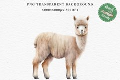 Baby Alpaca Farm Animals Clipart PNG Scrapbooking Nursery Art Image Watercolor  Transparent Print invitation shirt designs sublimation kids printable digital