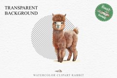 Baby Alpaca Farm Animals Clipart PNG Scrapbooking Nursery Art Image Watercolor  Transparent Print invitation shirt designs sublimation kids printable digital