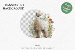 Baby Alpaca Farm Animals Clipart PNG Scrapbooking Nursery Art Image Watercolor  Transparent Print invitation shirt designs sublimation kids printable digital