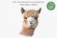 Baby Alpaca Farm Animals Clipart PNG Scrapbooking Nursery Art Image Watercolor  Transparent Print invitation shirt designs sublimation kids printable digital