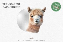 Baby Alpaca Farm Animals Clipart PNG Scrapbooking Nursery Art Image Watercolor  Transparent Print invitation shirt designs sublimation kids printable digital