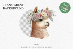 Baby Alpaca Farm Animals Clipart PNG Scrapbooking Nursery Art Image Watercolor  Transparent Print invitation shirt designs sublimation kids printable digital