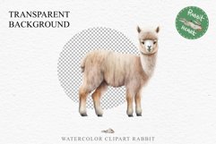 Baby Alpaca Farm Animals Clipart PNG Scrapbooking Nursery Art Image Watercolor  Transparent Print invitation shirt designs sublimation kids printable digital