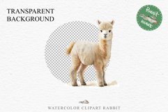 Baby Alpaca Farm Animals Clipart PNG Scrapbooking Nursery Art Image Watercolor  Transparent Print invitation shirt designs sublimation kids printable digital