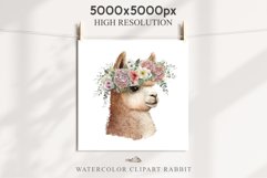 Baby Alpaca Farm Animals Clipart PNG Scrapbooking Nursery Art Image Watercolor  Transparent Print invitation shirt designs sublimation kids printable digital