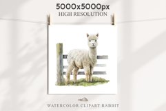 Baby Alpaca Farm Animals Clipart PNG Scrapbooking Nursery Art Image Watercolor  Transparent Print invitation shirt designs sublimation kids printable digital