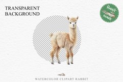 Baby Alpaca Farm Animals Clipart PNG Scrapbooking Nursery Art Image Watercolor  Transparent Print invitation shirt designs sublimation kids printable digital