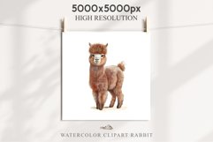 Baby Alpaca Farm Animals Clipart PNG Scrapbooking Nursery Art Image Watercolor  Transparent Print invitation shirt designs sublimation kids printable digital