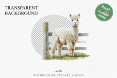 Baby Alpaca Farm Animals Clipart PNG Scrapbooking Nursery Art Image Watercolor  Transparent Print invitation shirt designs sublimation kids printable digital