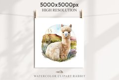 Baby Alpaca Farm Animals Clipart PNG Scrapbooking Nursery Art Image Watercolor  Transparent Print invitation shirt designs sublimation kids printable digital