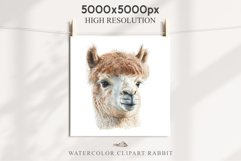 Baby Alpaca Farm Animals Clipart PNG Scrapbooking Nursery Art Image Watercolor  Transparent Print invitation shirt designs sublimation kids printable digital