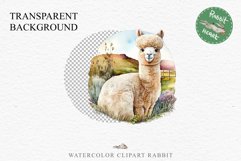 Baby Alpaca Farm Animals Clipart PNG Scrapbooking Nursery Art Image Watercolor  Transparent Print invitation shirt designs sublimation kids printable digital